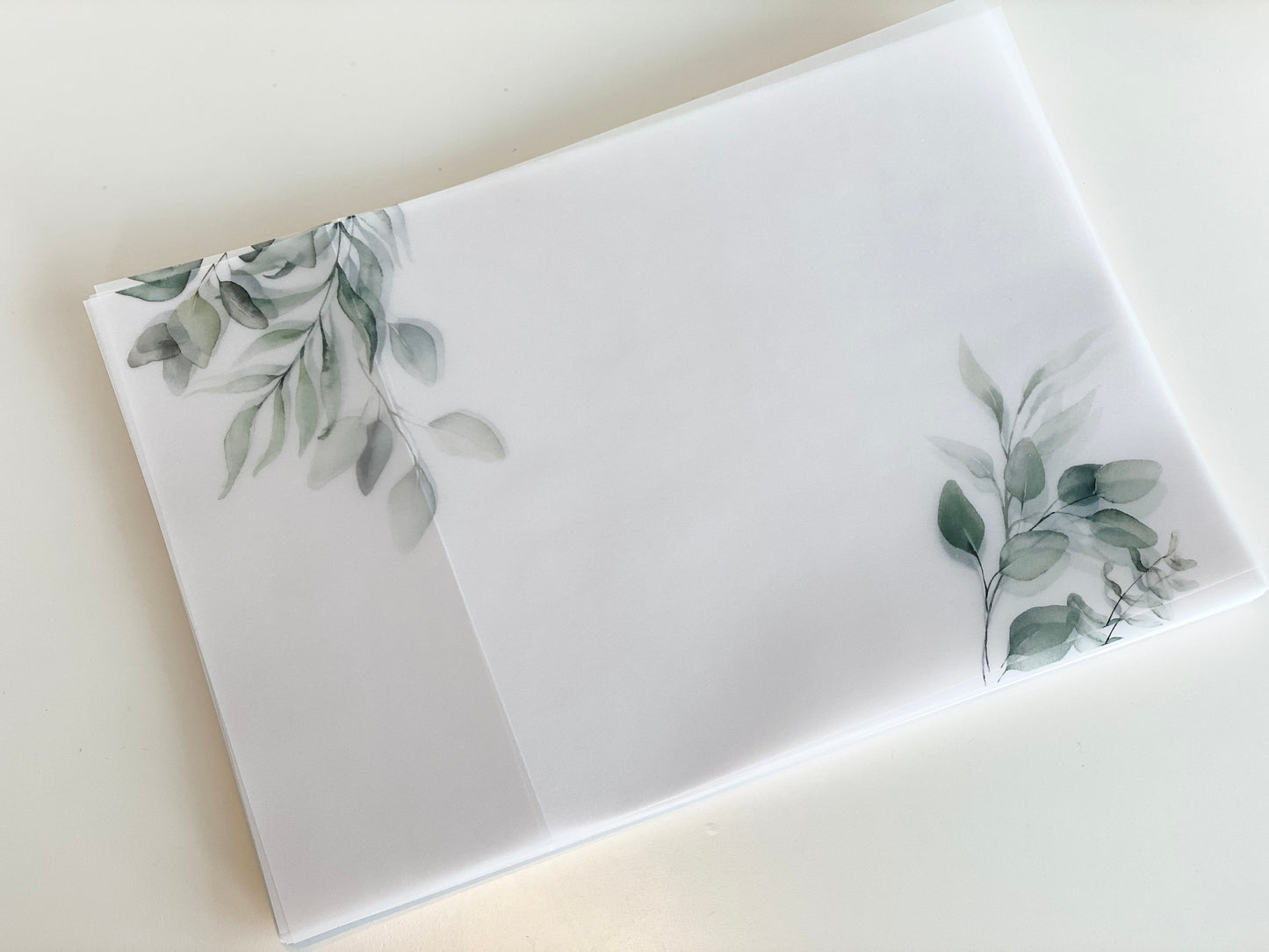 Eucalyptus Vellum Wrap + Matching Envelope