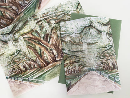 Avenue of the Oaks  Vellum Wrap