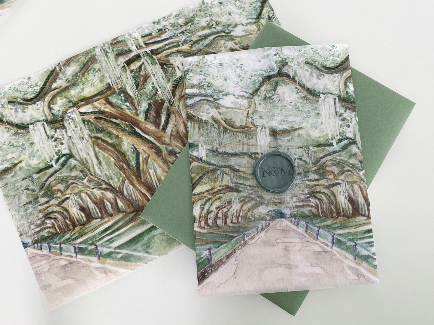 Avenue of the Oaks Vellum Wrap + Matching Envelope