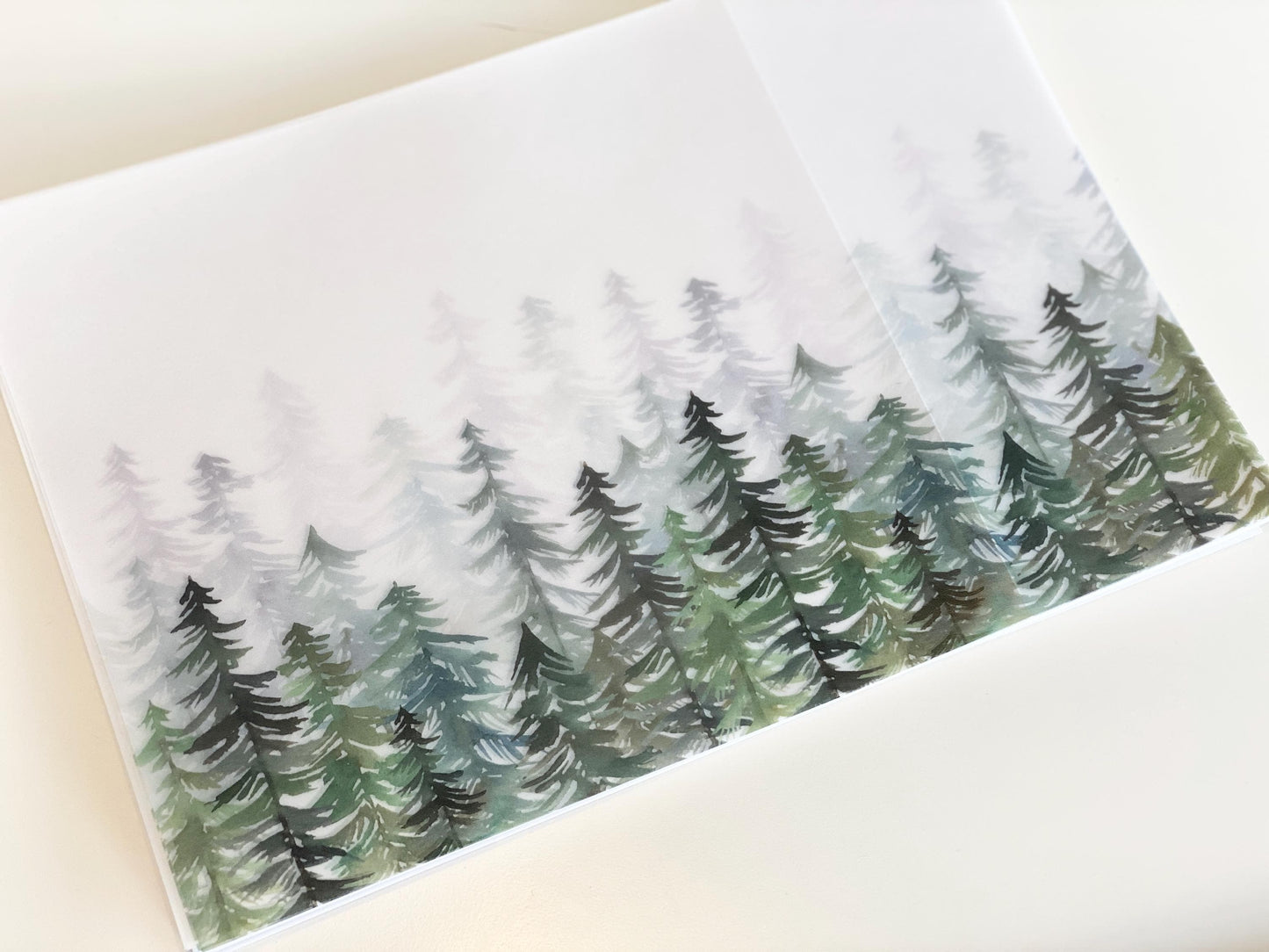Evergreen Vellum Wrap + Matching Envelope